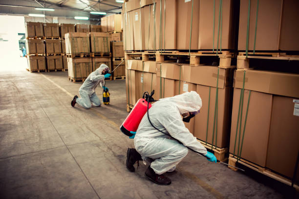Best Pest Control for Businesses  in Redwood Falls, MN