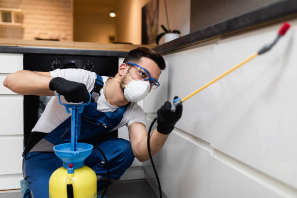 Best Wasp Removal Services  in Redwood Falls, MN