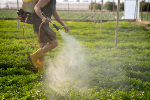 Best Affordable Pest Control Services  in Redwood Falls, MN